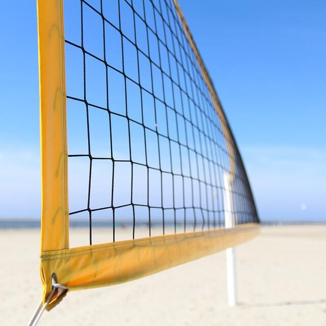 Multi-Purpose Knotted Sports N - Badminton Area ulasan dan harga